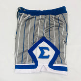 Sigma Grey Pinstripe Heavy Mesh Basketball Shorts